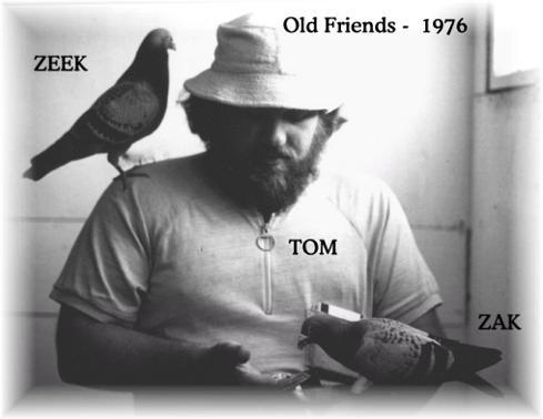 Tom, Zeek&Zak